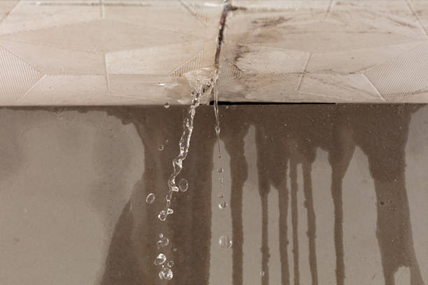Professional Sewage Cleanup technician working in Amenia, ND